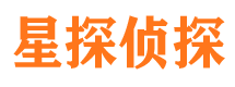 临潭侦探公司